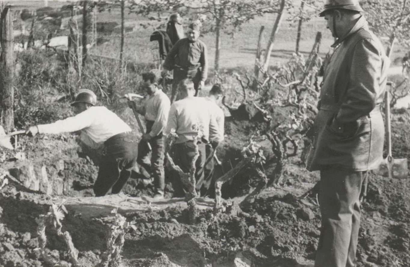 19370404_Badalona_BNE_gc_carp_73